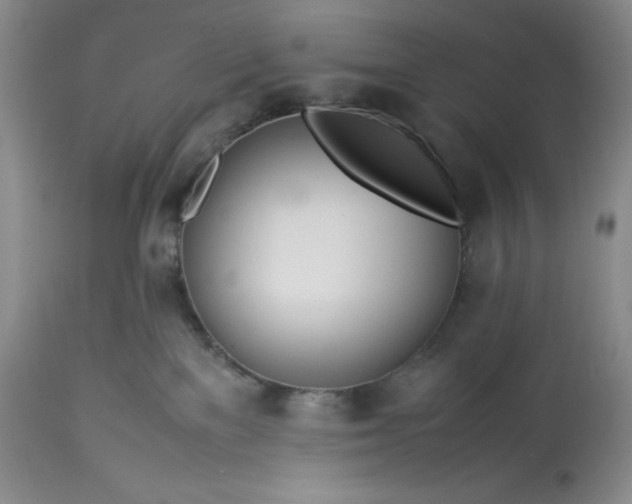 X0000113350137200909291104