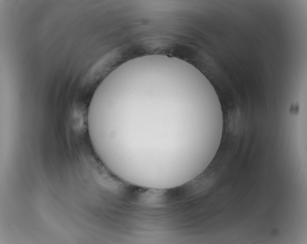 X0000113350138200909291104