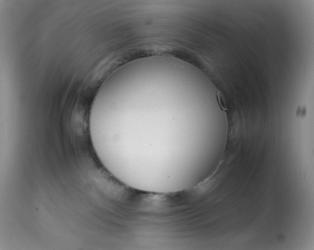 X0000113350140200909291104