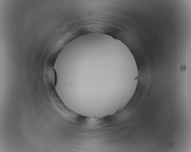 X0000113350141200909291104