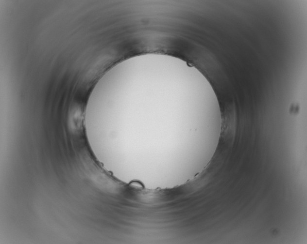 X0000113350142200909291104