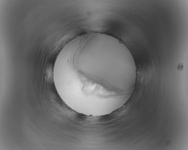 X0000113350143200909291104