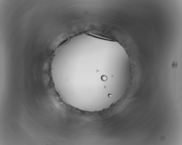 X0000113350144200909291104