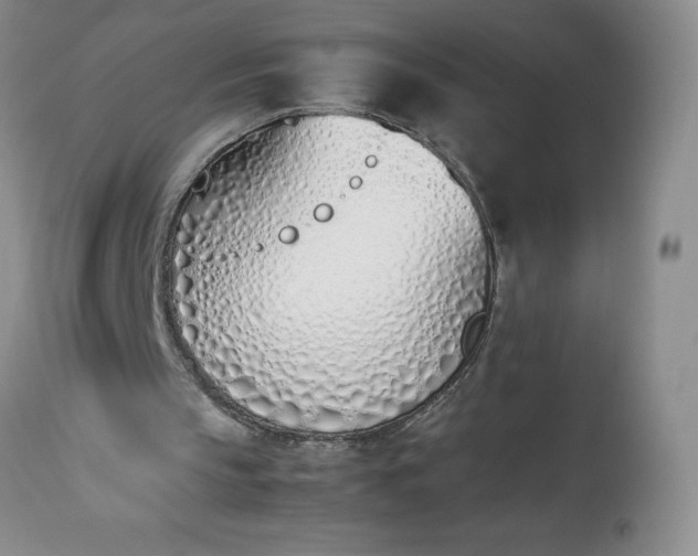 X0000113350145200909291103