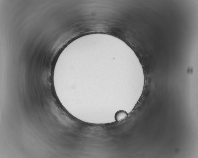 X0000113350146200909291103