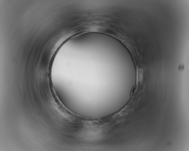 X0000113350147200909291103