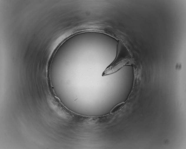 X0000113350148200909291103