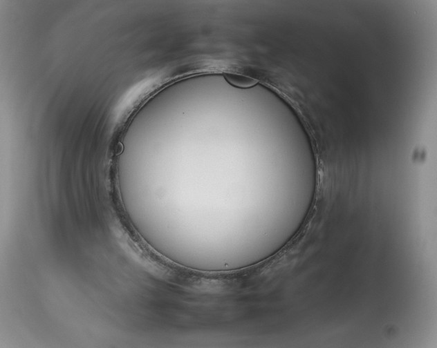 X0000113350149200909291103