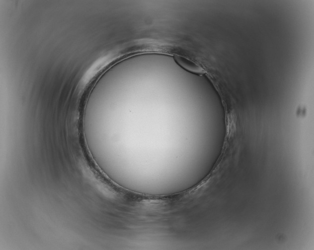 X0000113350150200909291103