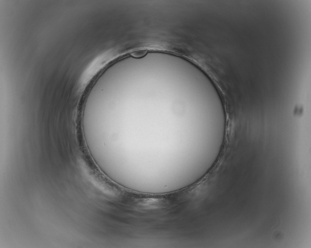 X0000113350151200909291103