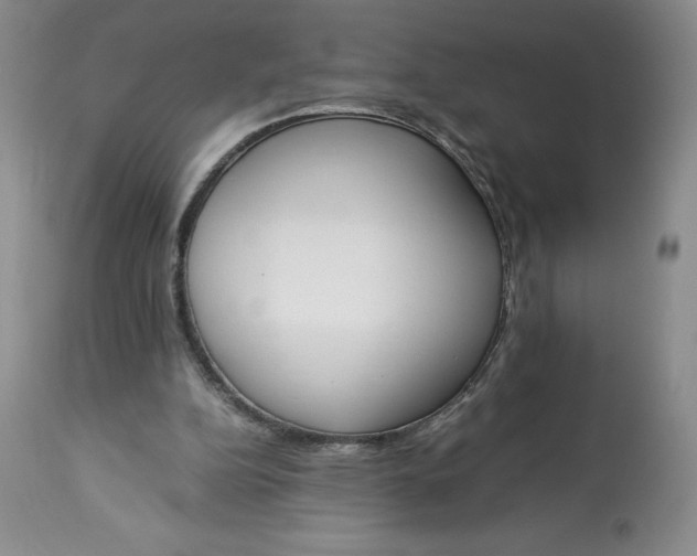 X0000113350152200909291103