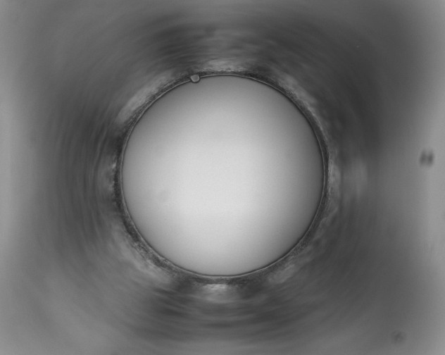 X0000113350153200909291103