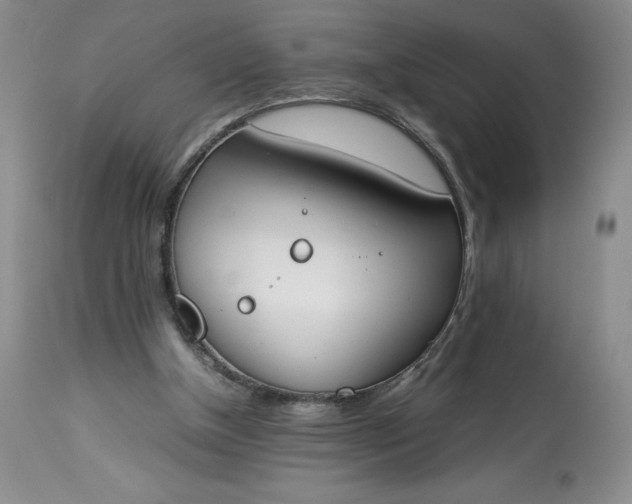 X0000113350154200909291103