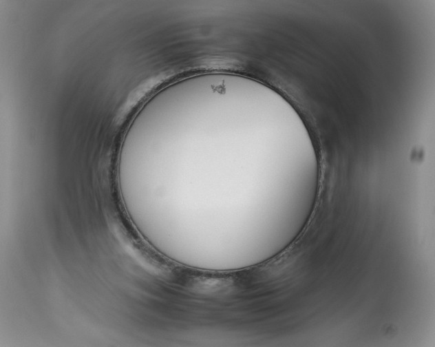 X0000113350155200909291103