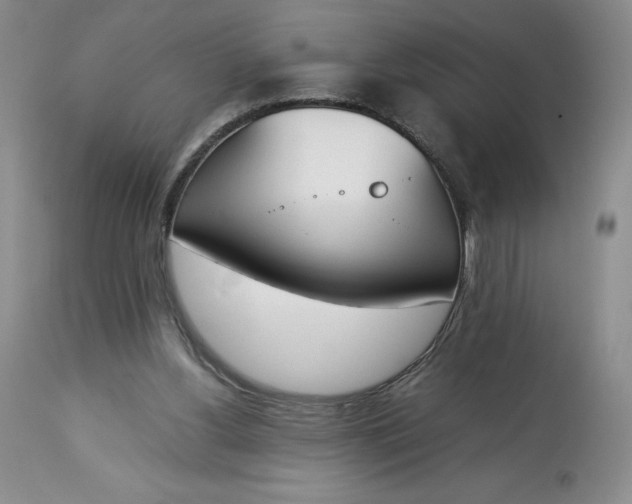 X0000113350156200909291103