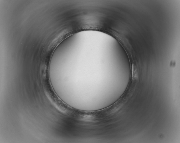 X0000113350157200909291103