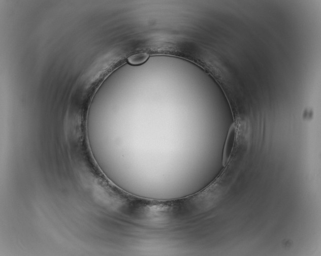 X0000113350158200909291103