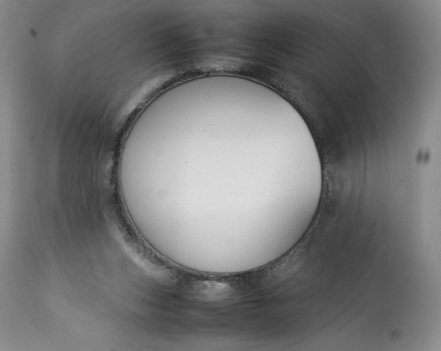 X0000113350159200909291103