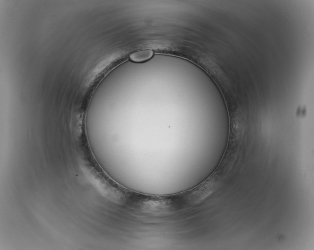 X0000113350160200909291103