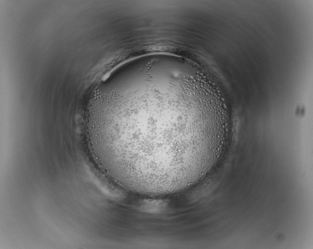 X0000113350161200909291103