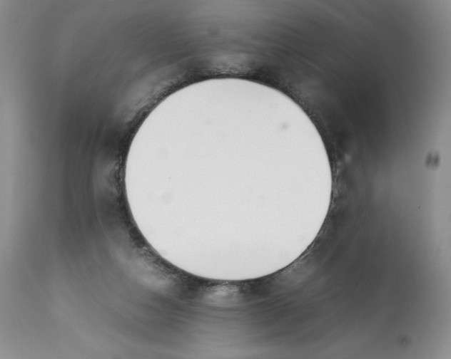 X0000113350162200909291103