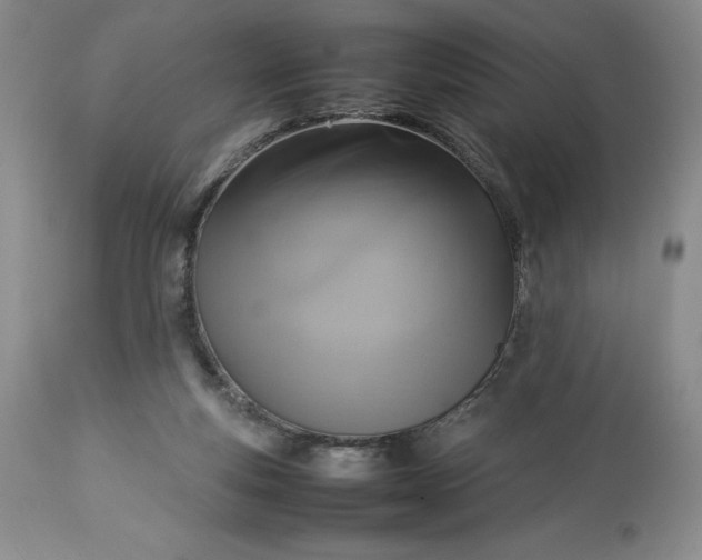 X0000113350163200909291103