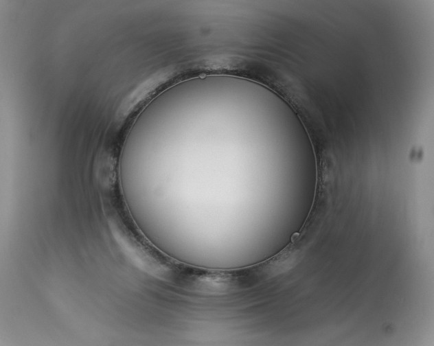 X0000113350164200909291104