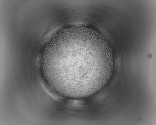 X0000113350165200909291104