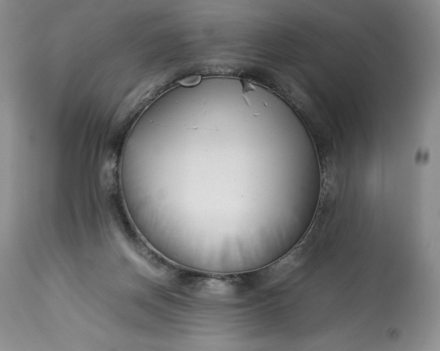 X0000113350166200909291104