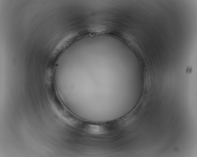 X0000113350167200909291104