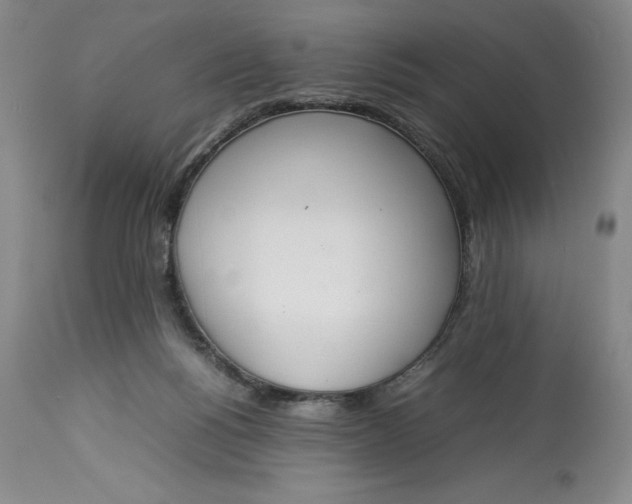 X0000113350168200909291104