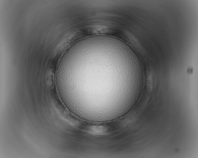 X0000113350169200909291104