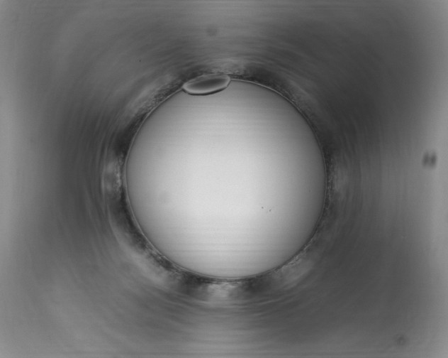 X0000113350172200909291104