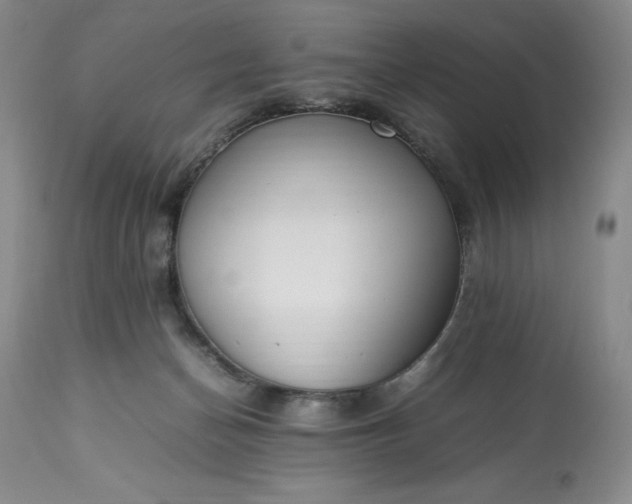 X0000113350174200909291104