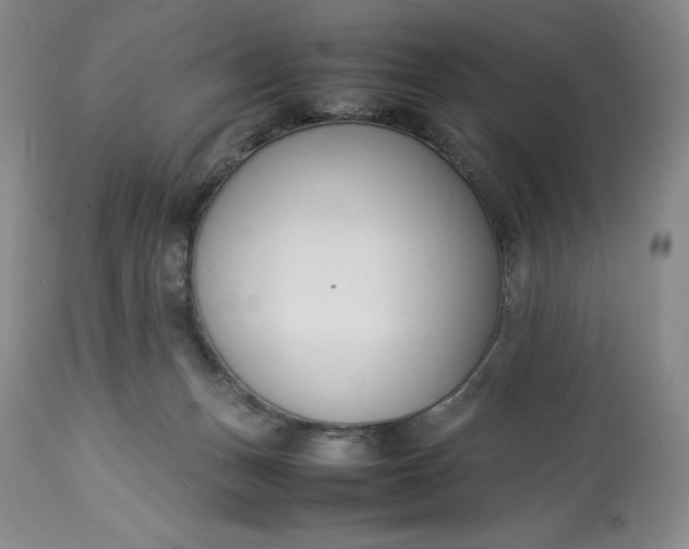 X0000113350175200909291104