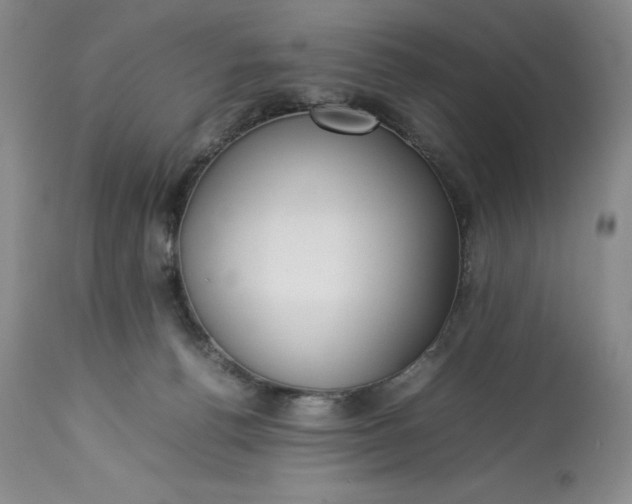 X0000113350176200909291104