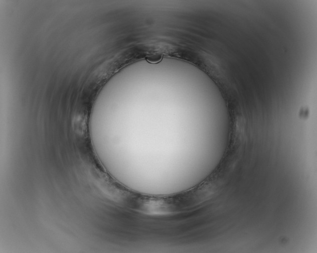 X0000113350177200909291104