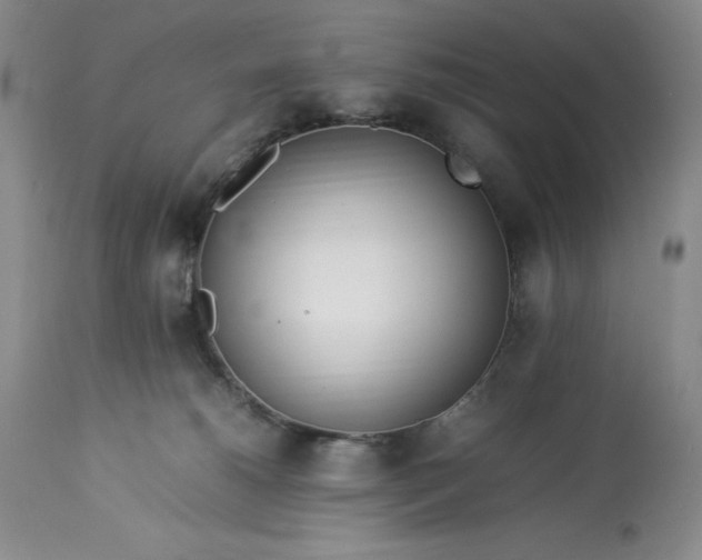 X0000113350180200909291104