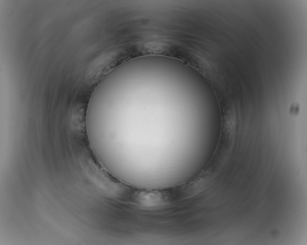 X0000113350181200909291104