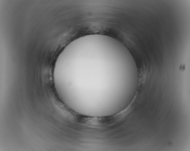 X0000113350182200909291104