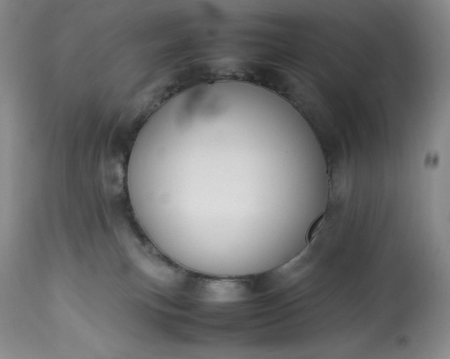 X0000113350183200909291104