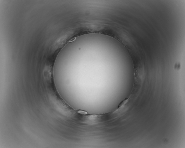 X0000113350184200909291104