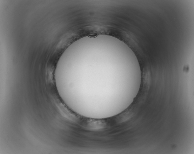 X0000113350185200909291104