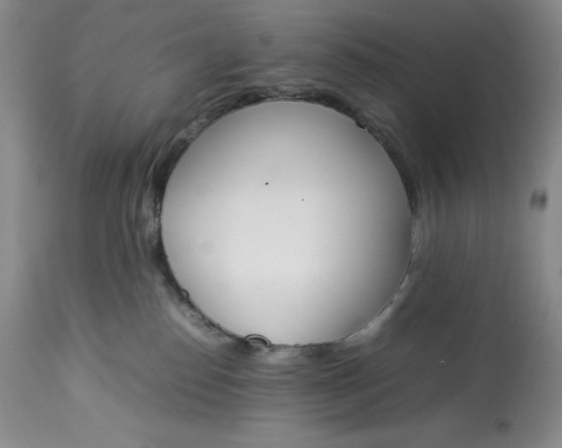 X0000113350186200909291104