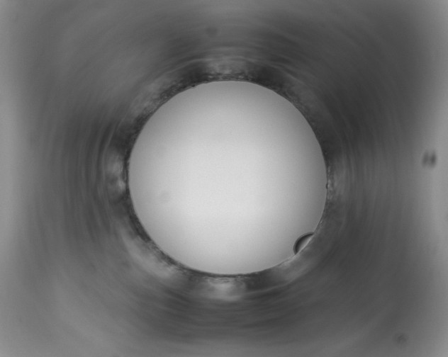 X0000113350187200909291104