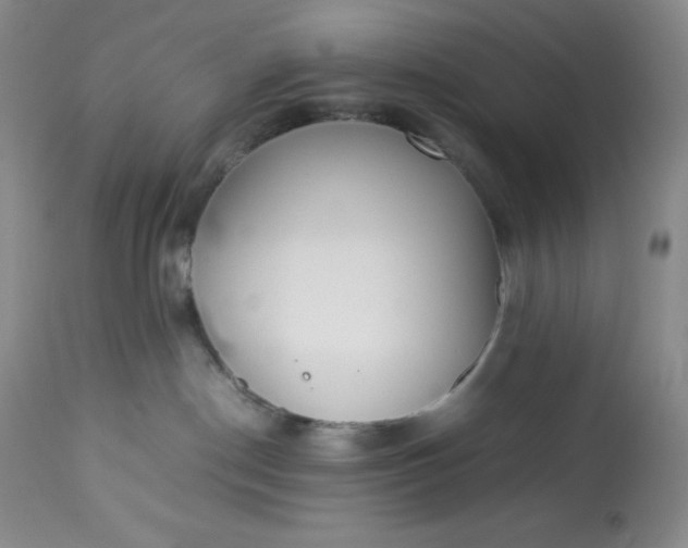 X0000113350190200909291104