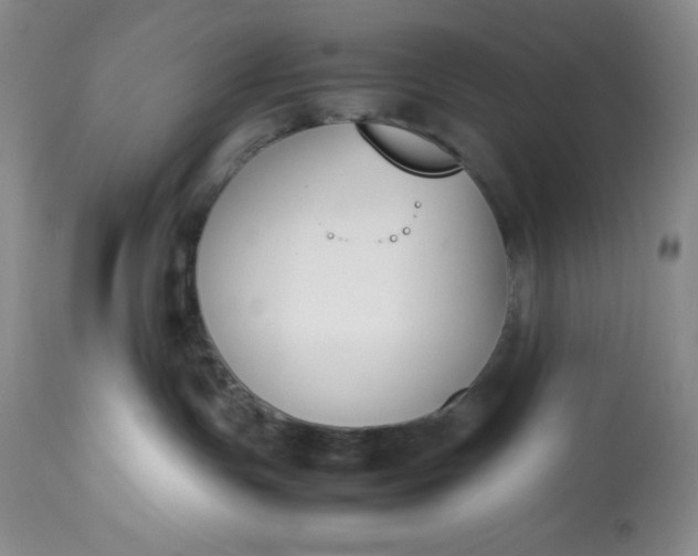 X0000113350191200909291104