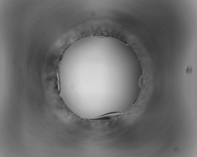 X0000113350192200909291104