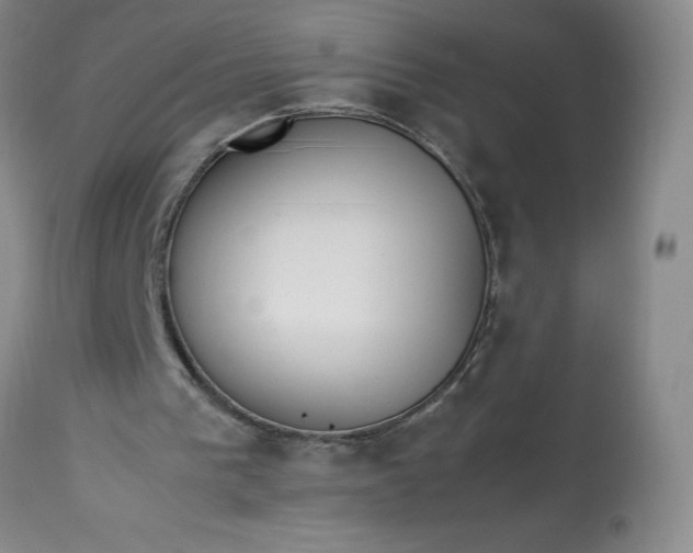 X0000113350193200909291103