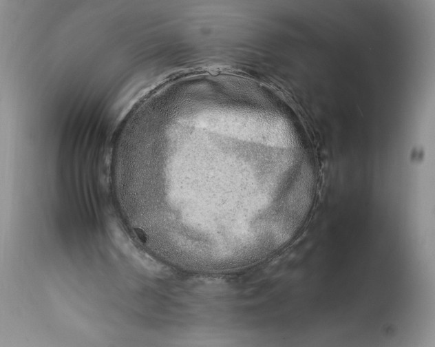 X0000113350194200909291103